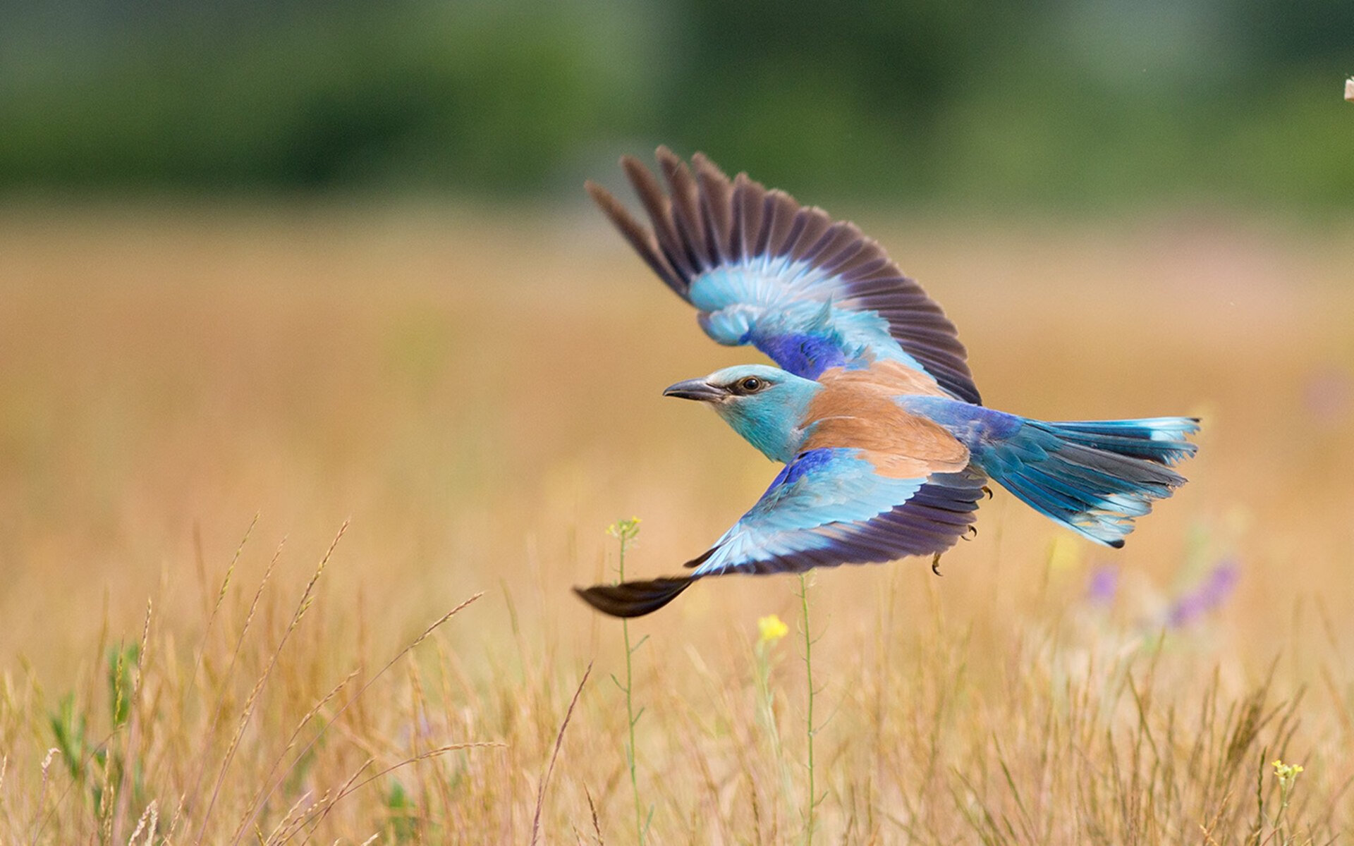 开云体育登录-字母哥完爆防线轰45+14！快船三巨头华丽得分盛宴，骑士防守崩盘启示录